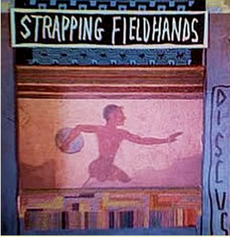 Strapping Fieldhands - Discus CD